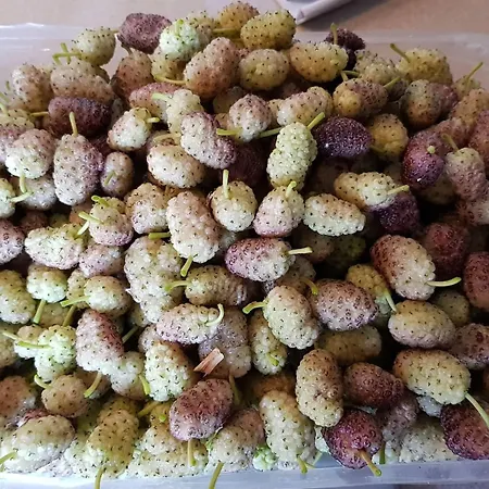 La Rossa Salina (Sicily)