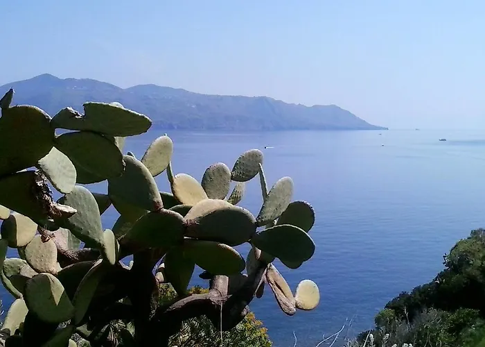 La Rossa