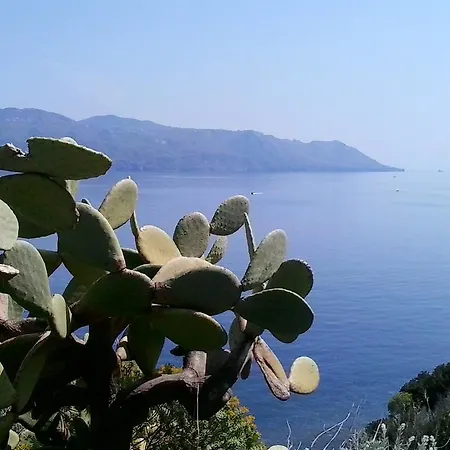 La Rossa